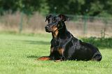 BEAUCERON 973